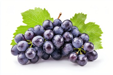 Fototapeta premium Bunch of Fresh Black Grapes with Green Leaves Isolated on White Background Studio Shot