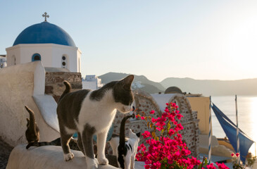 Santorini, Vulkaninsel in der griechischen Ägäis, Epizentrum von Erdbeben.