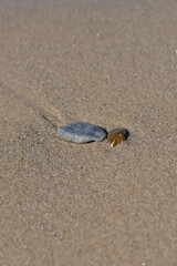 A stone in the sand on the beach. A pebble on the beach. Selective focus.