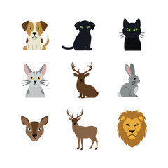 cute animals icons collection set vector design illustrations