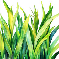 Obraz premium Watercolor green grass glistens beautifully in sunlight, evokes freshness