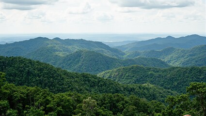 Aerial view of lush green forest spreading across rolling hills a serene and vast natural landscape captured from above