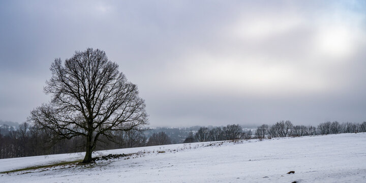 Winterlandschaft bei Weifa in der Oberlausitz