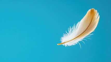 Obraz premium White feather floating against clear blue background