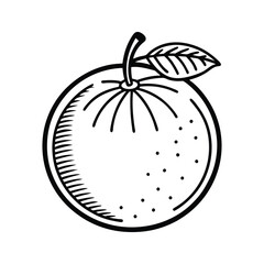 vector illustration of an orange fruit