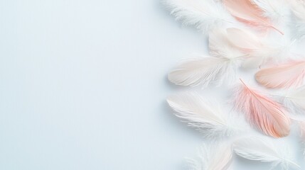 Fototapeta premium Pastel feathers on blue background, copy space