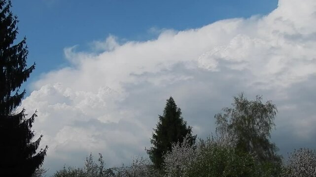 Blue sky, slowly developing white clouds Cumulus and rainy and stormy Cumulonimbus calvus over green and flowering trees on spring - shot with camera movement. Topics: cloudscape, storm, meteorology