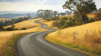Fototapeta premium Serene Curved Road Through Golden Fields and Rolling Hills Landscape