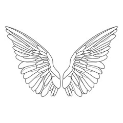 Obraz premium Isolated angel or bird wings. Vector heraldic heavenly and angelic, graceful symbol for divine or spiritual, celestial theme. Contour and outline design for phoenix or eagle tattoo. Mascot element.