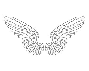 Ornamental angel wings or bird feather contour. Vector angelic or divine, spiritual or heaven, freedom and flight tattoo. Hawk or phoenix, eagle element. Symbol for inspiration and medieval heraldic.