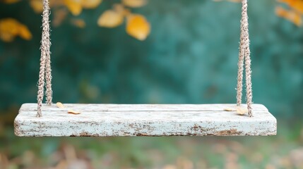 Empty wooden swing autumn leaves background