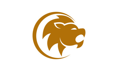 Lion King of the Jungle