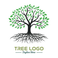 Fototapeta premium Beautiful green tree silhouette and vector design, minimalist business logo for tree icon on white background.