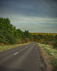 night starscape in the countryside