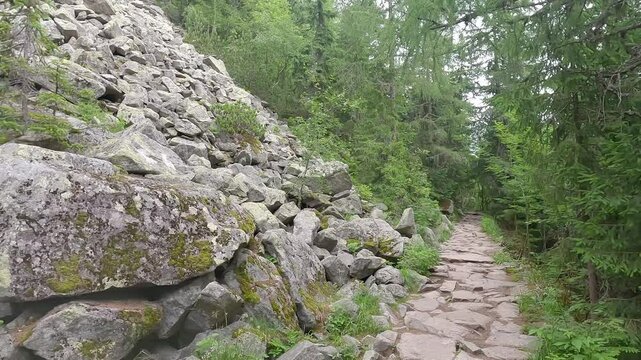 Felsenmeer and hiking trail with stones - Tatranska Magistrala between Strbske pleso and Popradske pleso in High Tatras mountains in Slovakia during summer morning