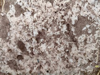 stone wall texture