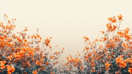 Orange flowers field, soft focus, pastel background.