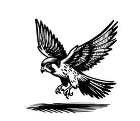 Obraz premium falcon flying sketch black vector decorative silhouette