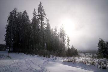 Wintertime in High Fens, Eifel, Belgium