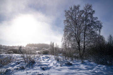 Wintertime in High Fens, Eifel, Belgium