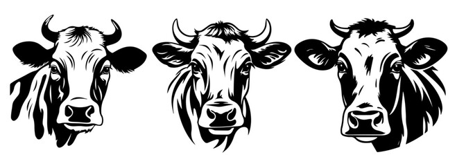 cow heads black vector engraving illustration set
