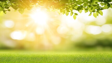 Obraz premium Sunny Spring Meadow Landscape With Green Leaves