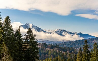 Fototapeta premium Scenic view of snow-capped peaks and lush forest in Bucegi Mountains, Romania