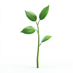 Fototapeta premium Fresh Green Sprout with Leaves Growing Isolated on White Background