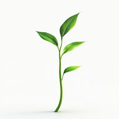 Green Fresh Seedling Growing with Healthy Leaves Isolated Background