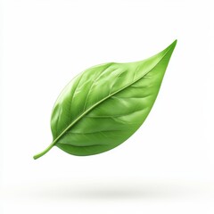 Fototapeta premium Fresh Green Leaf Isolated on White Background for Nature Concept