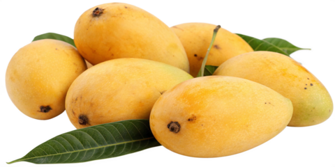 A close-up realistic shot of a bunch of plump, fresh, and perfectly ripe organic Indian mangoes isolated on a png background perfect for food photography or health-conscious promotions.
