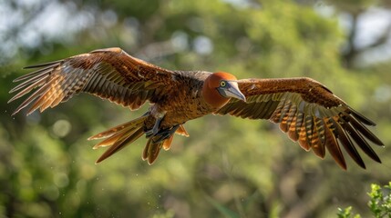 Fototapeta premium Majestic bird in mid-flight over lush greenery, showcasing vibrant feathers in natural habitat