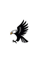 Fototapeta premium Eagle minimalist icon logo.