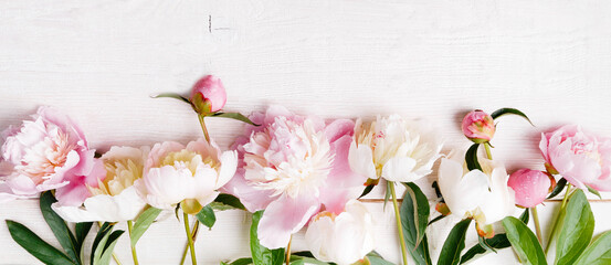 Delicate pink and white peonies arranged on light wooden surface, flat lay, free space for text. Weddings, spring celebrations. Pink peonies in narrow top-view composition, petals glistening with dew