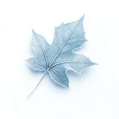 Fototapeta premium Frosted Leaf Detail, intricate ice patterns, winter chill, delicate textures, serene blue hues, isolated elegance on white