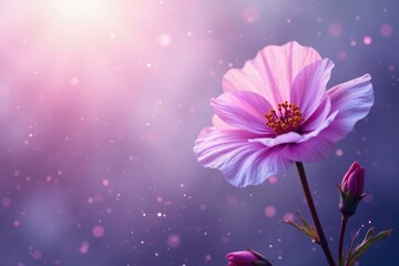 Mist shrouds delicate blooms in a soft, dreamy haze, ethereal blooms, violet hues, diaphanous petals