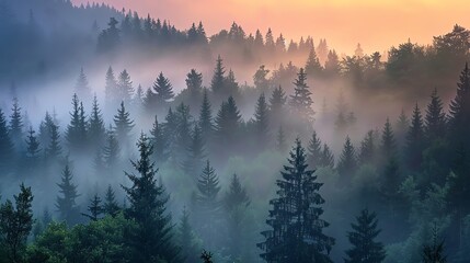 Obraz premium A mountain landscape with fog and trees.