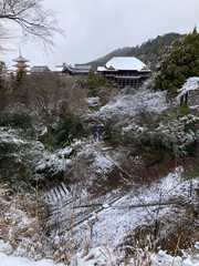 雪の清水寺