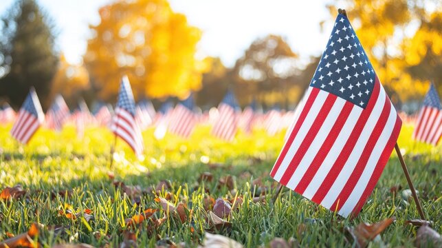Field of Honor: Miniature American Flags Displayed on Green Grass
