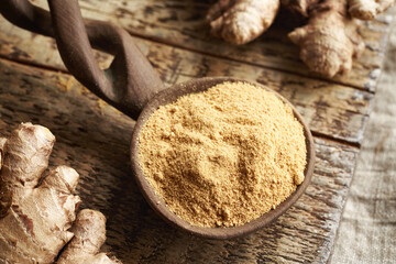 Ground ginger powder on a spoon with fresh ginger root