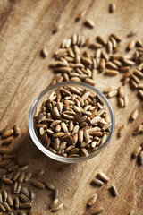 Milk thistle seeds in a glass bowl