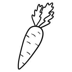 Hand drawn doodle carrot with leaf on white background.