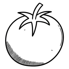 Hand drawn doodle tomato on white background.