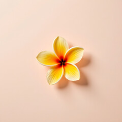 Naklejka premium A vibrant yellow plumeria flower is beautifully displayed on a soft peach background, showcasing its delicate petals and inviting warmth