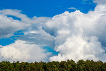 Obraz premium Low-flying cumulonimbus clouds behind forest, beautiful cloudscape
