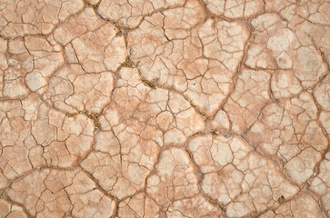 Cracked dry pink muddy surface closeup