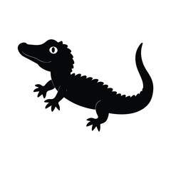 Fototapeta premium iguana on white background