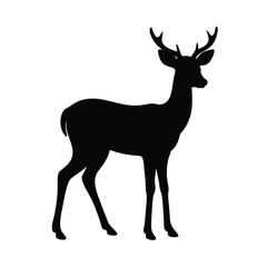 Obraz premium deer vector illustration