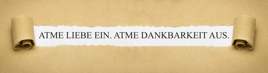 Atme Liebe ein. Atme Dankbarkeit aus.