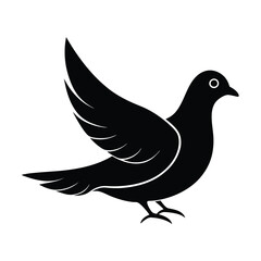 Fototapeta premium dove on white background